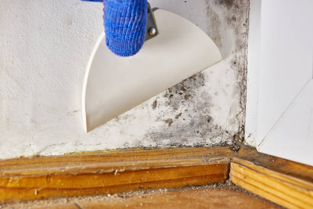 Best Post-Remediation Verification Testing  in Silver Ridge, NJ