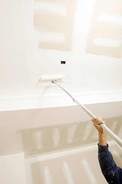 Best Attic Mold Removal  in Silver Ridge, NJ
