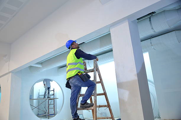 Best Real Estate Mold Inspection  in Silver Ridge, NJ